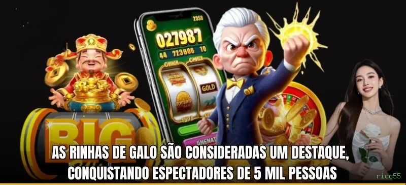 Cadastro rápido e seguro na rico55